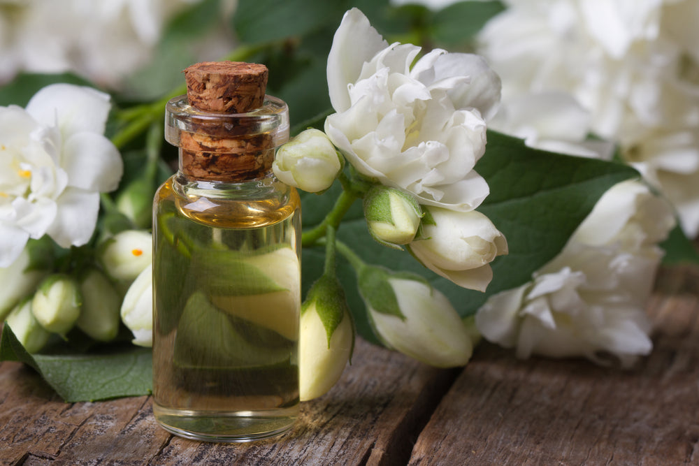 Our Top 6 Essential Oils