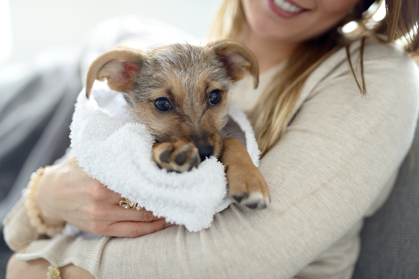 Natural Puppy Grooming Gift Set