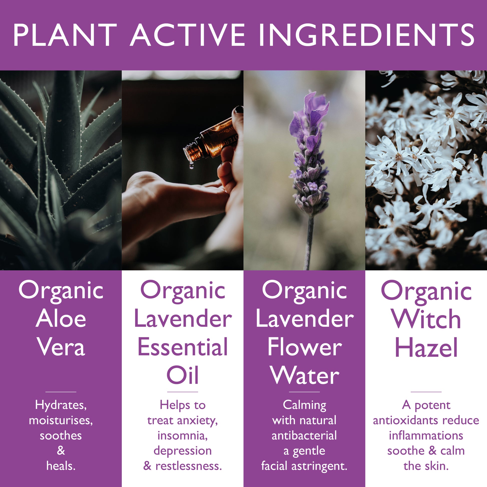 Organic Lavender Pillow Sleep Spray | Relaxing Mist